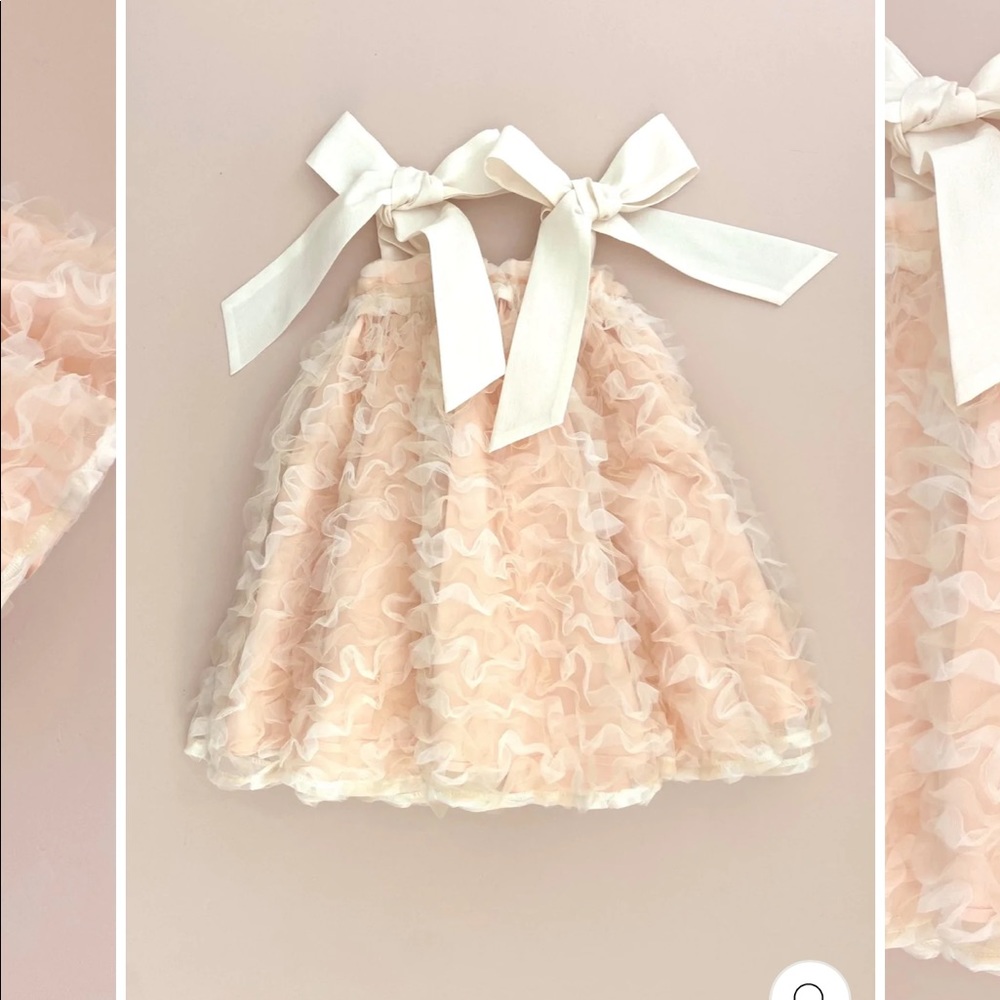 Chloé and Amélie In The Meadows Dress - Rosewater Ribbon Tulle